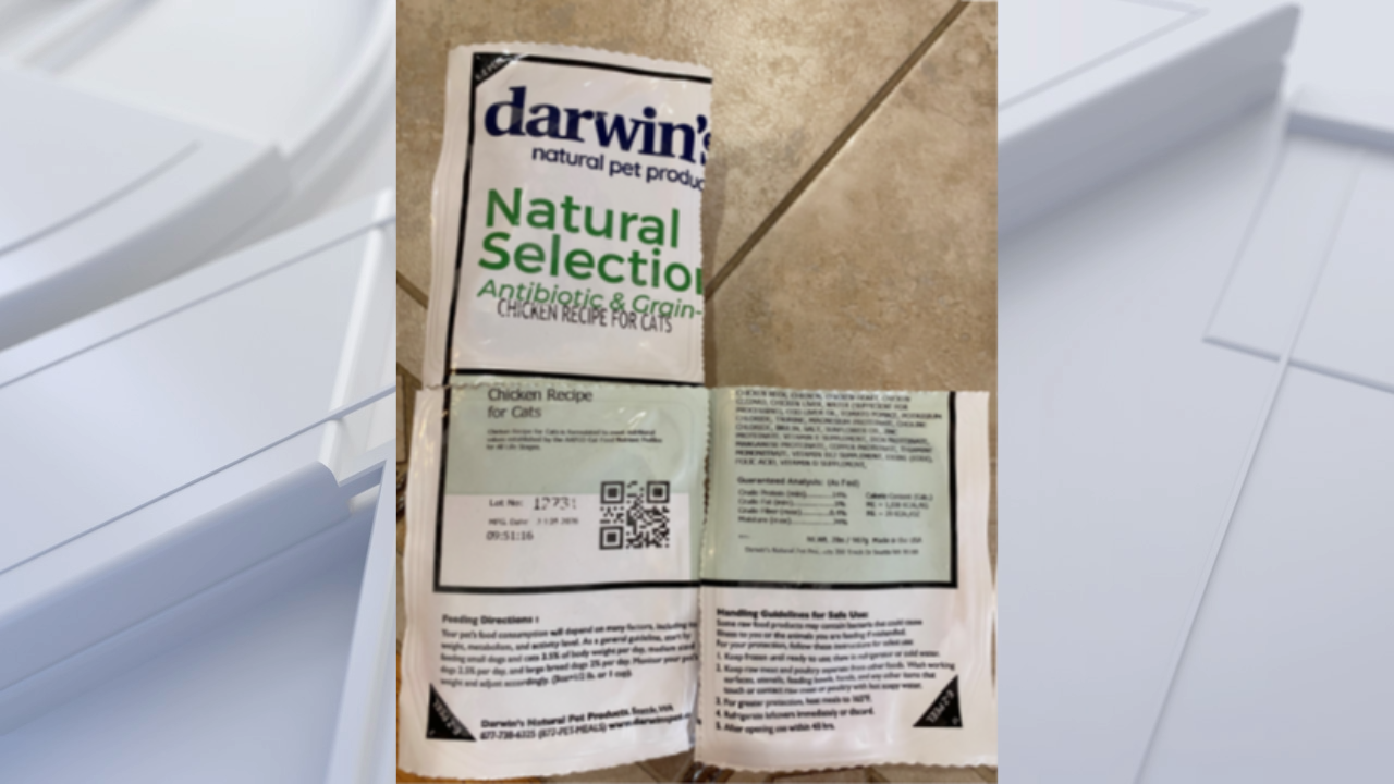 FDA warns pet owners after salmonella found in frozen cat food — Massapequa Community news